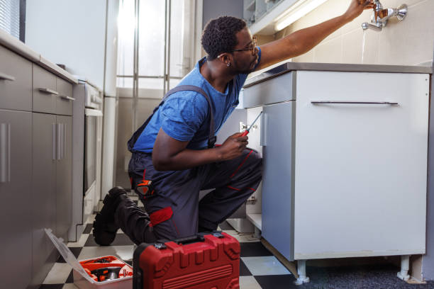 Best Commercial Plumbing Services  in Rochester, IN